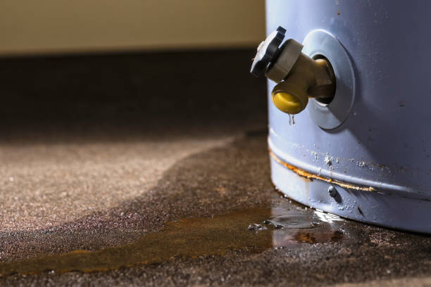 Best Flood restoration services  in Sur Hill, GA