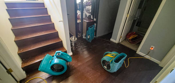 Best Sewage cleanup and water damage restoration  in Sur Hill, GA