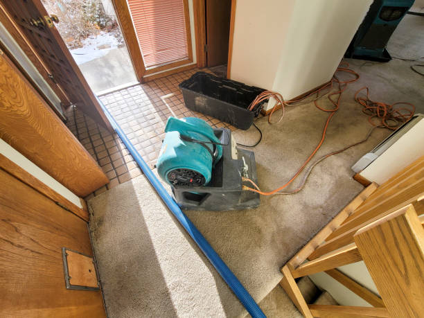 Best Residential water damage restoration  in Sur Hill, GA