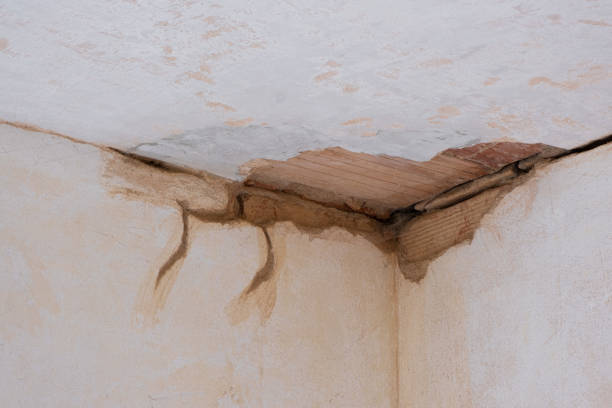 Best Commercial water damage restoration  in Sur Hill, GA