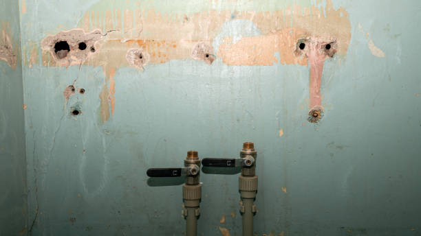 Best Residential water damage restoration  in Sur Hill, GA