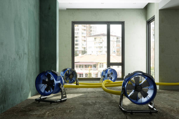 Best 24/7 water damage repair  in Sur Hill, GA